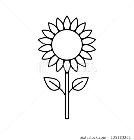 Simple sunflower line drawing icon 135183261