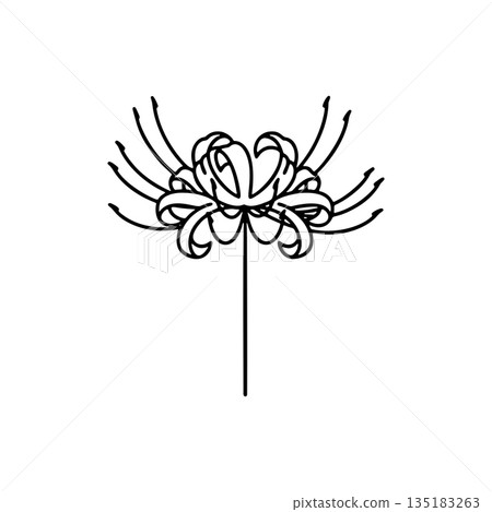 Simple line drawing icon of red spider lily Simple line drawing icon of red spider lily 135183263