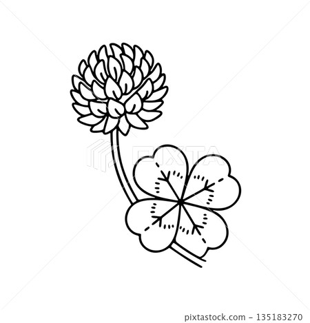 Simple white clover line icon 135183270