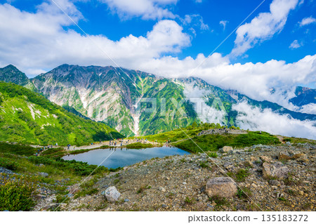 View of the Northern Alps in early summer from Happo-one 135183272