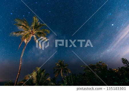 palm trees and tropical vegetation under stunning starry night sky with visible milky way and cosmic atmosphere, night nature landscape. palm trees and tropical vegetation under stunning starry night sky with visible milky way and cosmic atmosphere, night nature landscape. 135183301