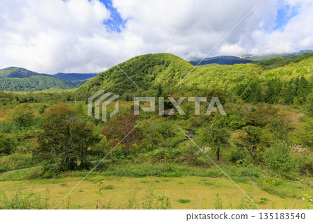 長野縣乘鞍高原鬱鬱蔥蔥的草原和群山，九月，初秋景色 135183540