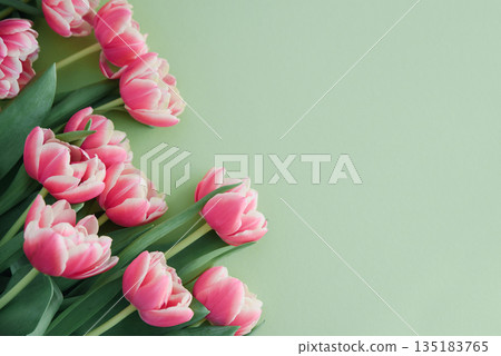 Pink Tulips on Light Green Background. Festive Spring Floral Flatlay 135183765