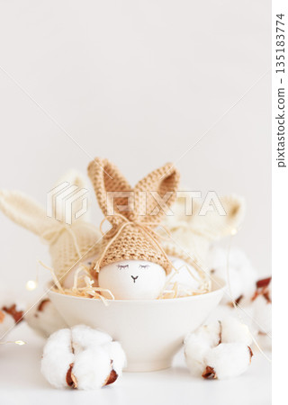 Easter Eggs with Bunny Hats in Cozy Spring Arrangement 135183774