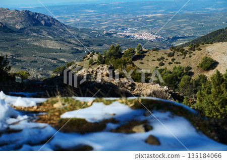 Panoramic Mountain Landscape With Snow, Olive Trees, and Distant Valley Town 135184066