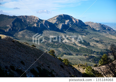 Breathtaking Mountain Landscape With Olive Groves And Rugged Slopes Under Blue Sky Breathtaking Mountain Landscape With Olive Groves And Rugged Slopes Under Blue Sky 135184068