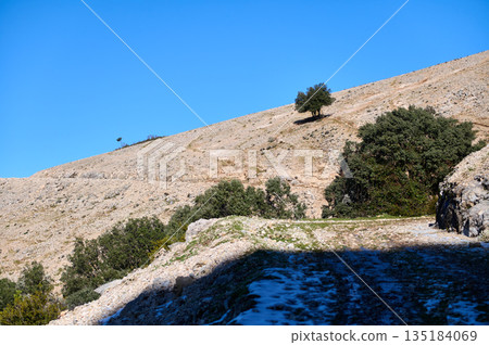 Solitary Tree On Rocky Hillside Trail Under Bright Blue Sky Above Quiet Landscape Sunny Solitary Tree On Rocky Hillside Trail Under Bright Blue Sky Above Quiet Landscape Sunny 135184069