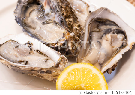 Delicious raw oysters from Hokkaido Delicious raw oysters from Hokkaido 135184104