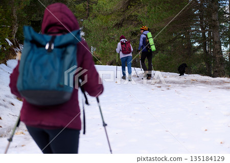 Group Of Hikers Trekking Through Snowy Forest With Backpacks And Trekking Poles 135184129