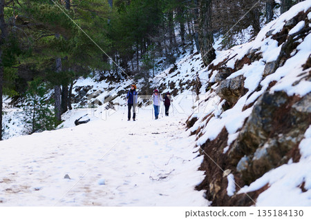 Snowy Forest Hike With Three Hikers On A Mountain Trail In Winter Light Snowy Forest Hike With Three Hikers On A Mountain Trail In Winter Light 135184130