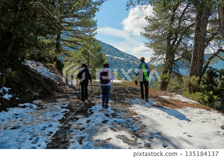 Three Hikers Trek On Snowy Mountain Trail Through Pine Forest 135184137
