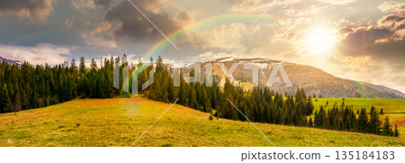 panorama of spruce forest on green hill at sunset. lovely view of springtime landscape with snowy tops of distant mountain ridge in evening light. leadership corporate wallpaper under the rainbow panorama of spruce forest on green hill at sunset. lovely view of springtime landscape with snowy tops of distant mountain ridge in evening light. leadership corporate wallpaper under the rainbow 135184183