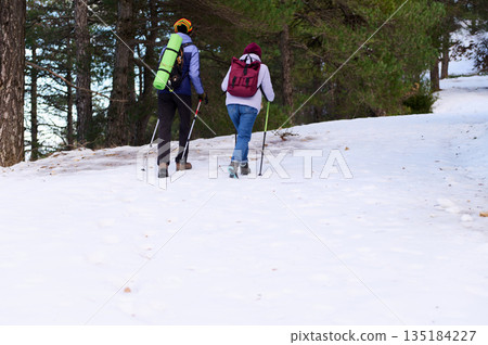 Two Hikers Trek Through Snowy Forest Trail With Backpacks And Trekking Poles 135184227
