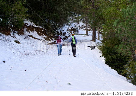 Hikers Trekking Snowy Forest Trail With Dog On Winter Adventure In Woods 135184228
