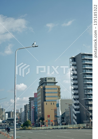 海鷗聚集在路燈周圍 135185322