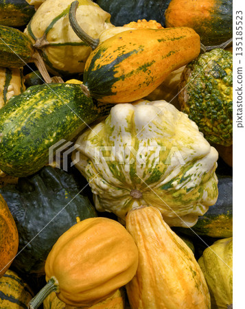Group of assorted multicolor decorative pumpkins 135185523