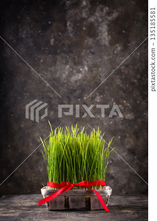 Traditional Azerbaijan spring holiday Novruz concept 135185581
