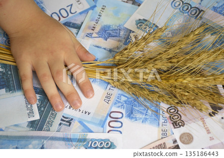 hand with ripe ears of wheat and Russian rubles of various denominations hand with ripe ears of wheat and Russian rubles of various denominations 135186443