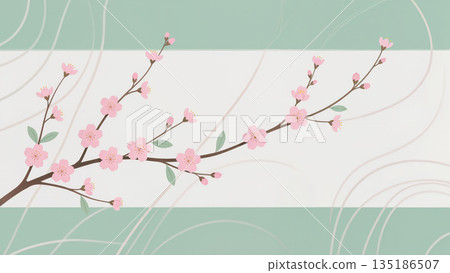 Elegant illustration of a blooming cherry blossom branch with pink flowers and green leaves on a stylized white and green background. Elegant illustration of a blooming cherry blossom branch with pink flowers and green leaves on a stylized white and green background. 135186507