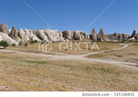 rock formations located near the city of Urgup in Cappadocia rock formations located near the city of Urgup in Cappadocia 135186692