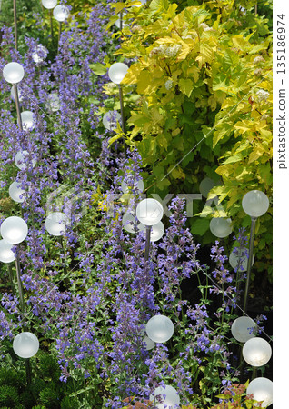 landscape design of flowers and small architectural forms landscape design of flowers and small architectural forms 135186974