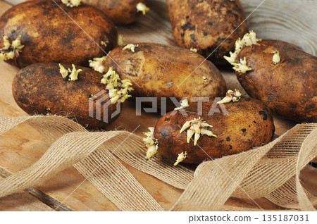 potato tubers with sprouted sprouts on a wooden 135187031