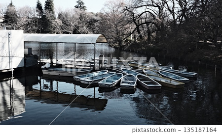 井之頭公園 135187164