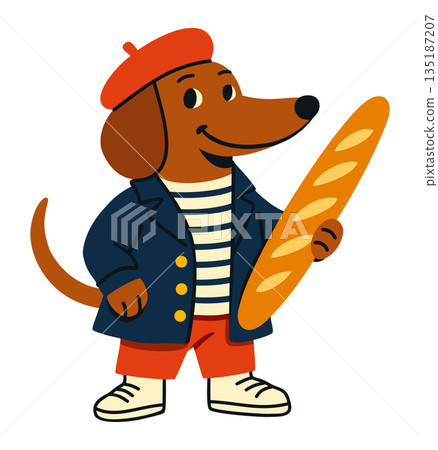 Dachshund wearing classic French style outfit with bright red beret, navy blue and white striped shirt, blue elegant coat with golden buttons, red trousers and white sneakers, holding baguette in paw. Dachshund wearing classic French style outfit with bright red beret, navy blue and white striped shirt, blue elegant coat with golden buttons, red trousers and white sneakers, holding baguette in paw. 135187207