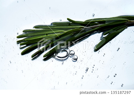 Rosemary sprig floating in clear water with bubbles Rosemary sprig floating in clear water with bubbles 135187297