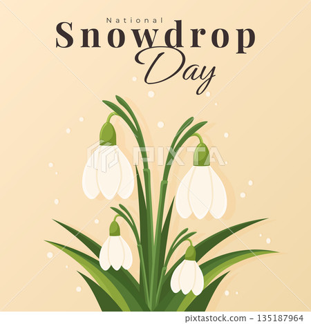 National snowdrop day typography poster with floral elements. 135187964