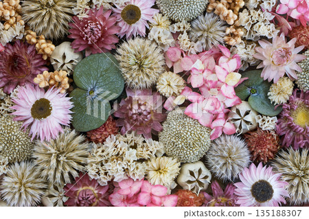 Decorative panel composed of dried wild plants, flowers and lichens Decorative panel composed of dried wild plants, flowers and lichens 135188307