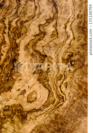 Wood texture of old olive tree 135188764
