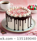 Festive Holiday Cake with Chocolate Drips and Sprinkles 135189040