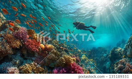 Scuba diver exploring vibrant coral reef teeming with colorful fish in clear tropical waters 135189331