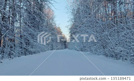 Snowy path arching into winter forest. Tranquil snow-covered trail framed by overhanging snow-laden tree branches leading into dense woods. 135189471