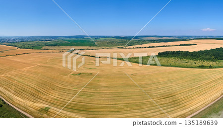 Aerial landscape view of yellow cultivated agricultural field with dry straw of cut down wheat after harvesting Aerial landscape view of yellow cultivated agricultural field with dry straw of cut down wheat after harvesting 135189639