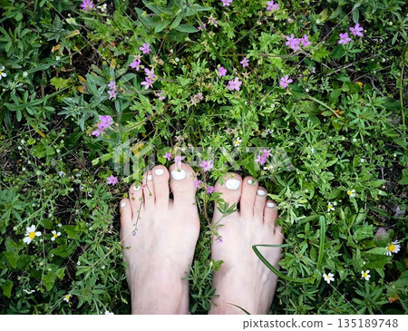 Girl's feet on Green Summer Grass with Field Flowers. Close-up Shot. Summer Time. Bare feet with white pedicures of a young woman. Enjoying the summer time. Girl's feet on Green Summer Grass with Field Flowers. Close-up Shot. Summer Time. Bare feet with white pedicures of a young woman. Enjoying the summer time. 135189748