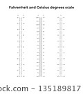 Fahrenheit and Celsius temperature scales comparison, vertical thermometer chart vector 135189817