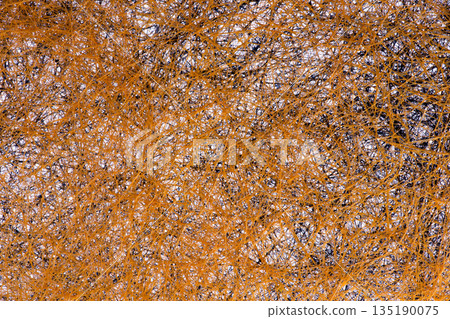 Abstract image of a plurality of intertwined threads Abstract image of a plurality of intertwined threads 135190075