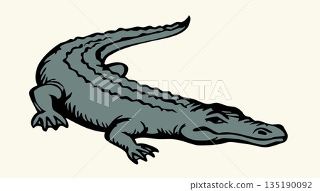 Vector drawing. The crocodile lies on the ground Vector drawing. The crocodile lies on the ground 135190092