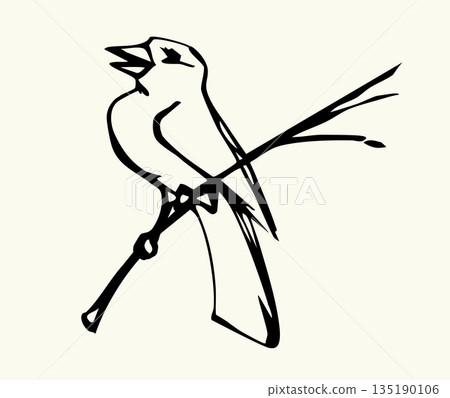 Vector drawing. Tit on white sky backdrop. Vector drawing. Tit on white sky backdrop. 135190106