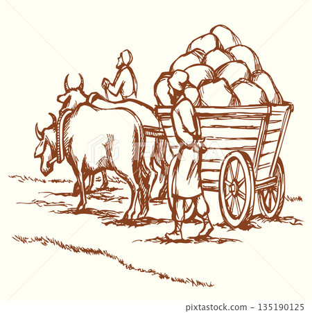 Vector drawing. Ancient cart with cows 135190125