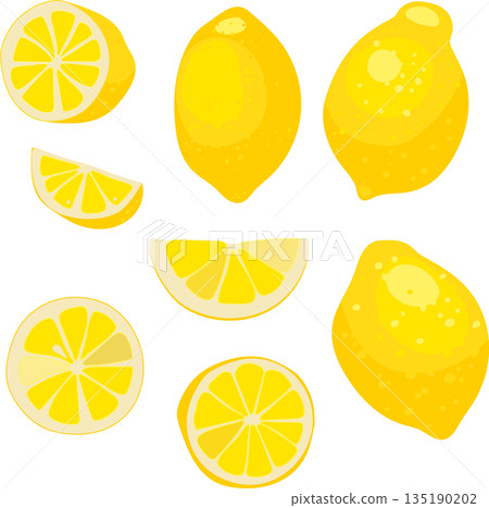 lemon, whole fruit, whole and slices of lemon, vector illustration. poster, emblem natural product, farmers market lemon, whole fruit, whole and slices of lemon, vector illustration. poster, emblem natural product, farmers market 135190202