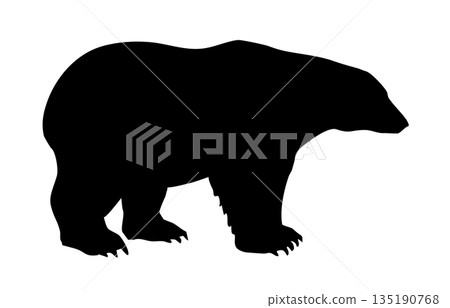 Vector drawing. Big polar bear Vector drawing. Big polar bear 135190768