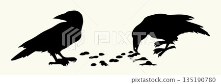 Vector drawing. Old big crow 135190780