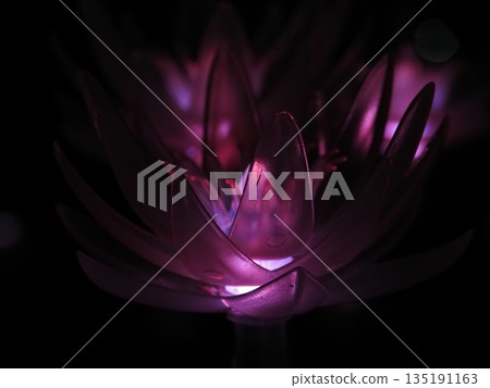 flowers floating in the dark flowers floating in the dark 135191163