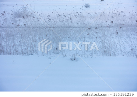 Winter scenery [Nagano Prefecture] 135191239
