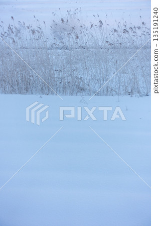 Winter scenery [Nagano Prefecture Winter scenery [Nagano Prefecture 135191240