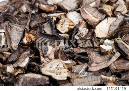 Extreme closeup dried mushroom fragments reveal cellular fibers, porous surfaces and subtle color gradients for scientific reference, culinary analysis and editorial features 135191439