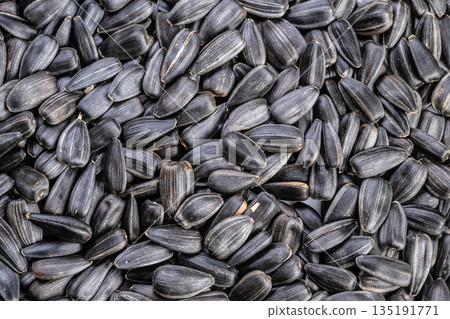 Varied roasted sunflower seeds abundantly spread showcasing quality and quantity, Broad assortment of roasted sunflower seeds unevenly scattered emphasizing volume and market value Varied roasted sunflower seeds abundantly spread showcasing quality and quantity, Broad assortment of roasted sunflower seeds unevenly scattered emphasizing volume and market value 135191771